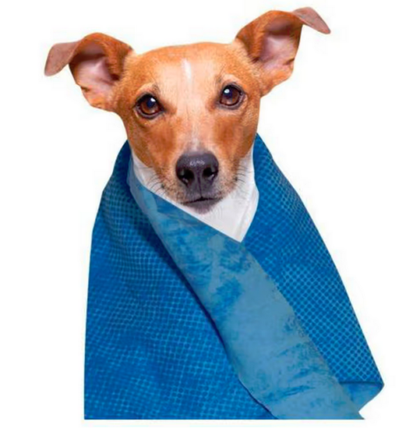 Dog Generation magický ručník Pet Towel 66x43cm - Image 5